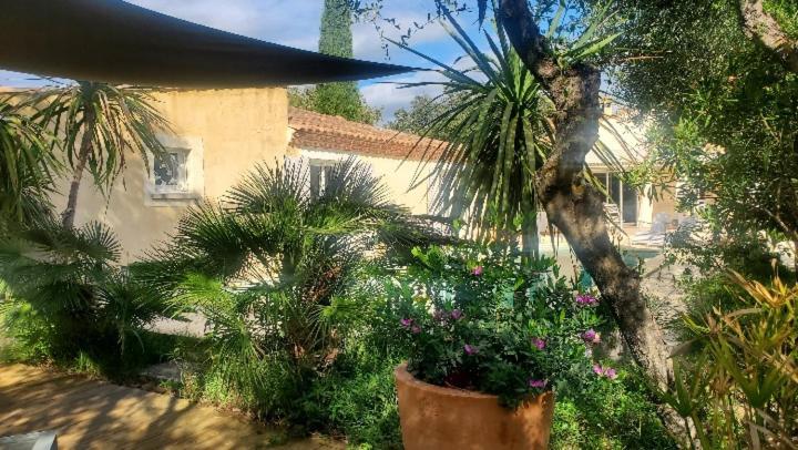 Le Clos Olives Comps  Ngoại thất bức ảnh