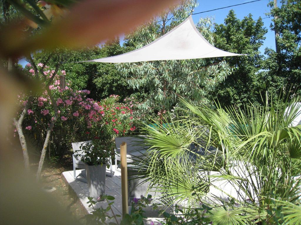 Le Clos Olives Comps  Phòng bức ảnh